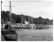 BRONICA_09_V