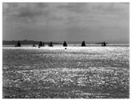BRONICA_16_V
