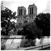 SEMFLEX_20003-V